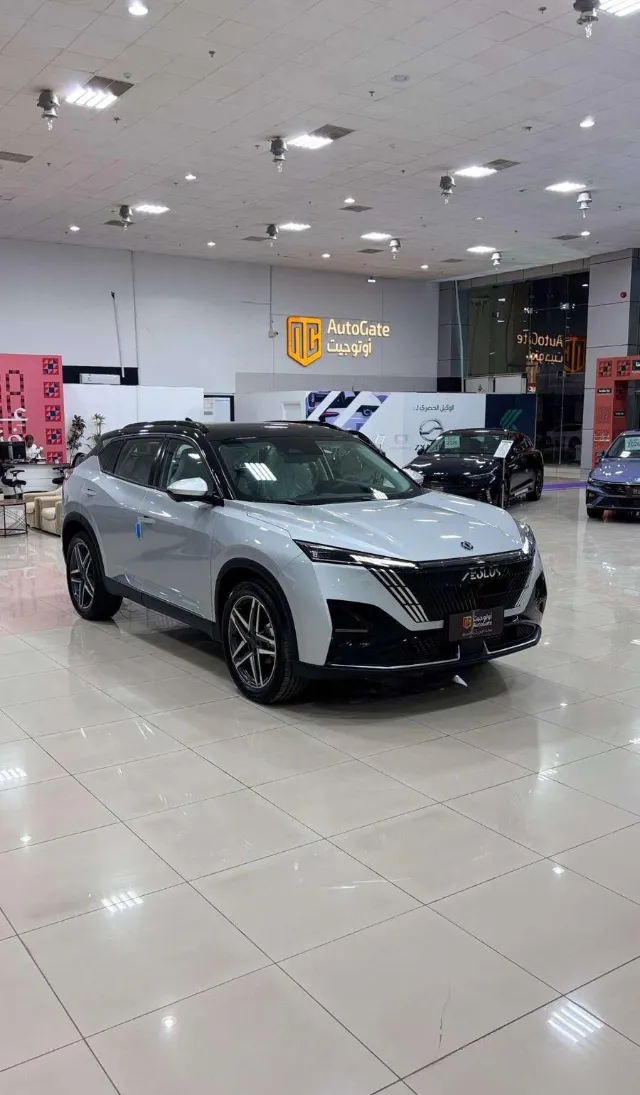 دونج فينج · ميج 2026 للبيع في بريدة