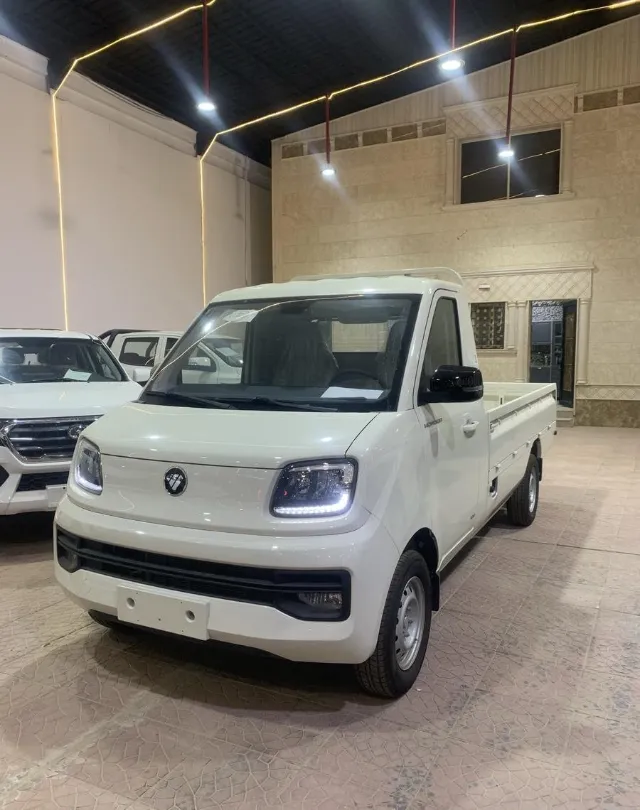 فوتون · واندر W1 2026 للبيع في حفر الباطن
