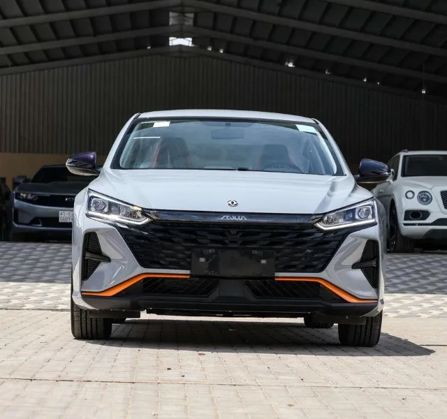 دونج فينج · شاين STANDARD 2026 للبيع في الرياض — ممشى 0 كم