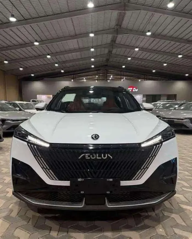 دونج فينج · ميج 2026 للبيع في جدة