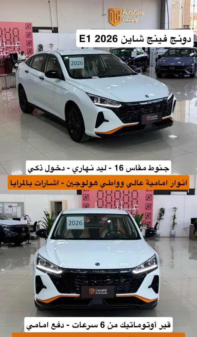 دونج فينج · شاين 2026 للبيع في بريدة