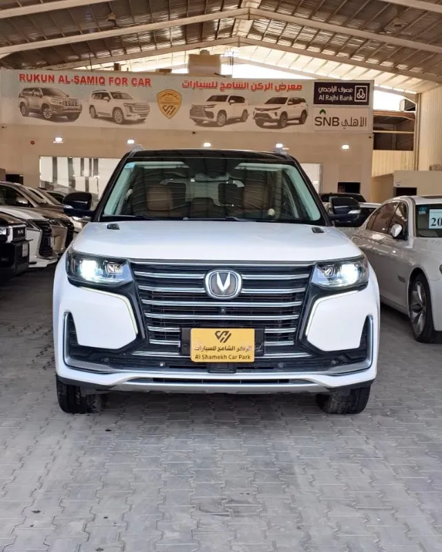 شانجان · سي اس 95 2023 للبيع في الرياض — ممشى 163,000 كم