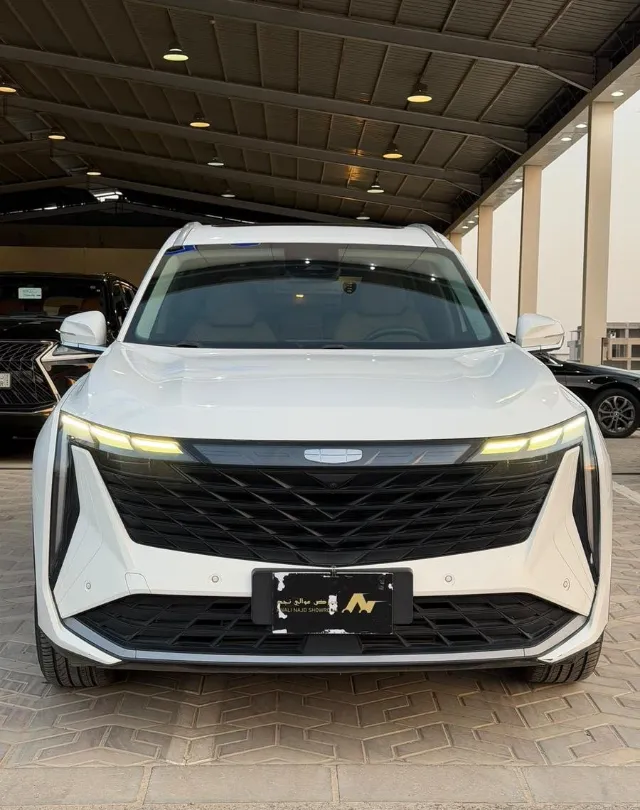 جيلي · ستاراي 2024 للبيع في الرياض — ممشى 95,000 كم