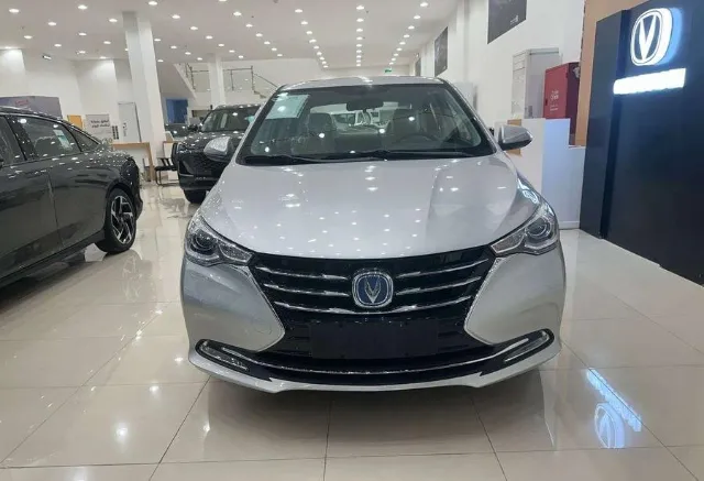 شانجان · السفن 2026 للتنازل في الأحساء